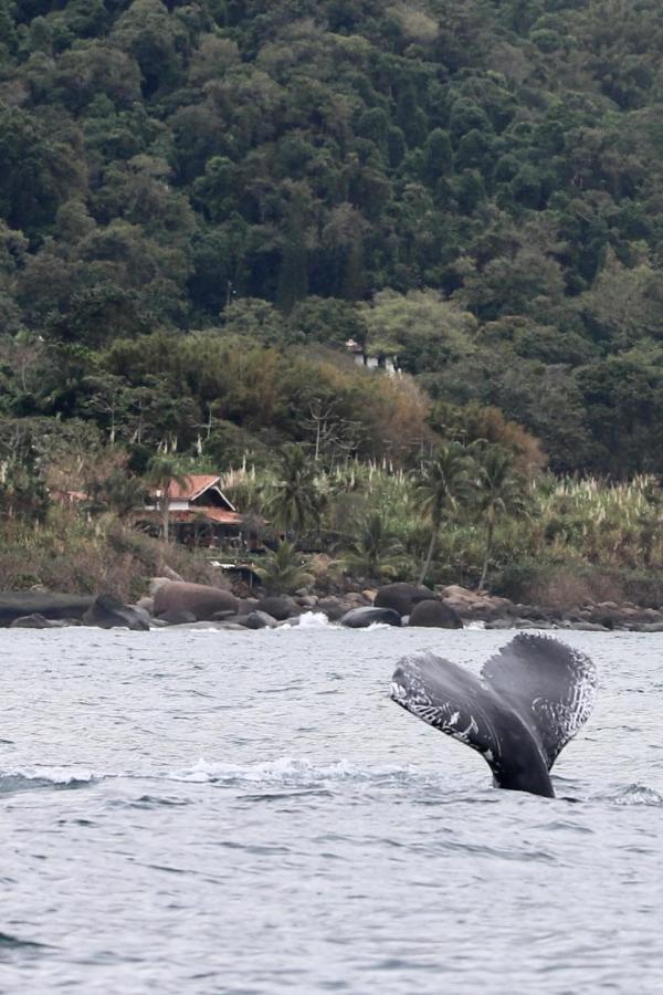 Villa Sol-Lua Bangalo Com Uso Exclusivo Da Piscina à Ilhabela Extérieur photo