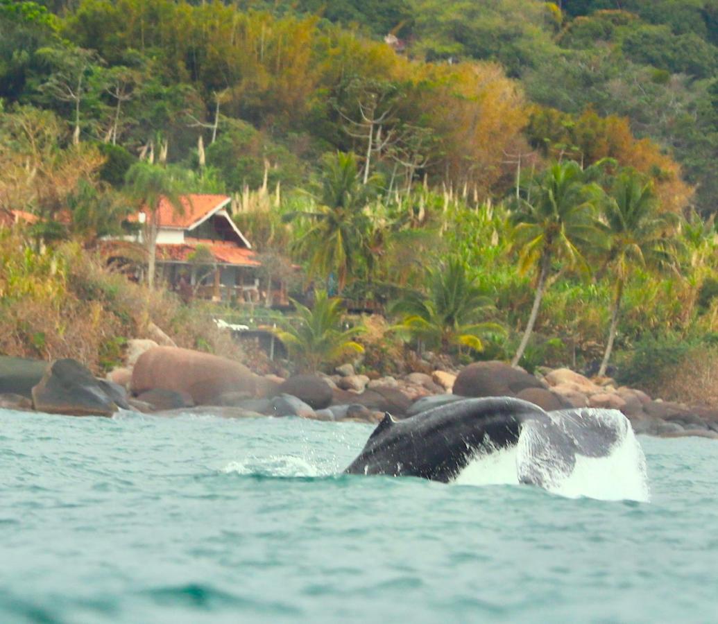 Villa Sol-Lua Bangalo Com Uso Exclusivo Da Piscina à Ilhabela Extérieur photo